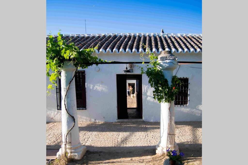 シウダーレアル Casa El Carmenヴィラ エクステリア 写真